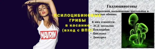 мескалин Каменка