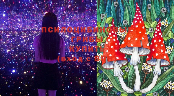 тгк Белоозёрский