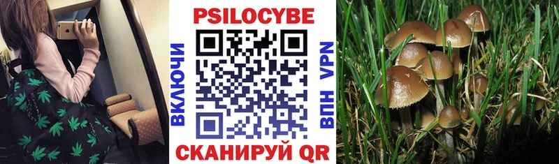 Галлюциногенные грибы мухоморы  Высоцк 